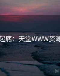 隐情大起底：天堂WWW资源的内幕