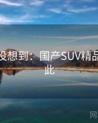 你绝对没想到：国产SUV精品竟然如此