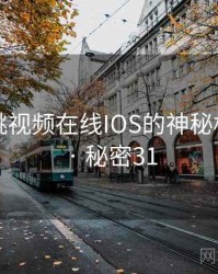 关于蜜桃视频在线IOS的神秘档案曝光 · 秘密31