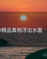 国产SUV精品真相浮出水面 · 秘密527