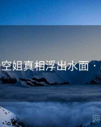 韩国g奶空姐真相浮出水面 · 秘密729