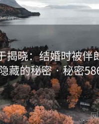 真相终于揭晓：结婚时被伴郎玩背后隐藏的秘密 · 秘密586