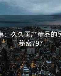 暗中故事：久久国产精品的另一面 · 秘密797