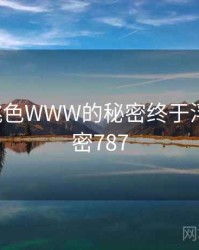 YSL蜜桃色WWW的秘密终于浮现 · 秘密787