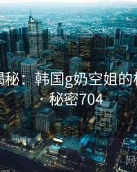 爆炸性揭秘：韩国g奶空姐的核心秘密 · 秘密704