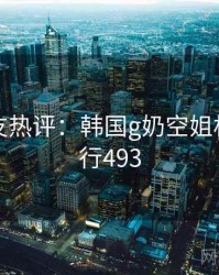 十大网友热评：韩国g奶空姐相关 · 排行493