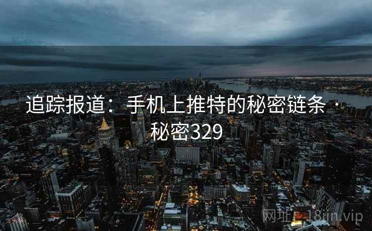 追踪报道：手机上推特的秘密链条 · 秘密329
