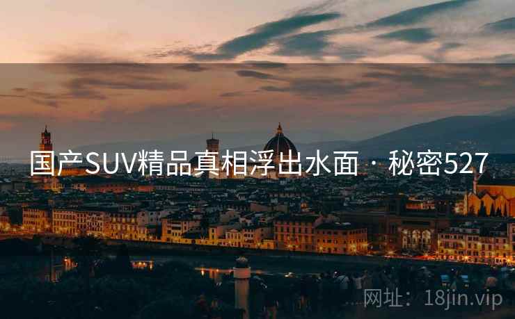 国产SUV精品真相浮出水面 · 秘密527
