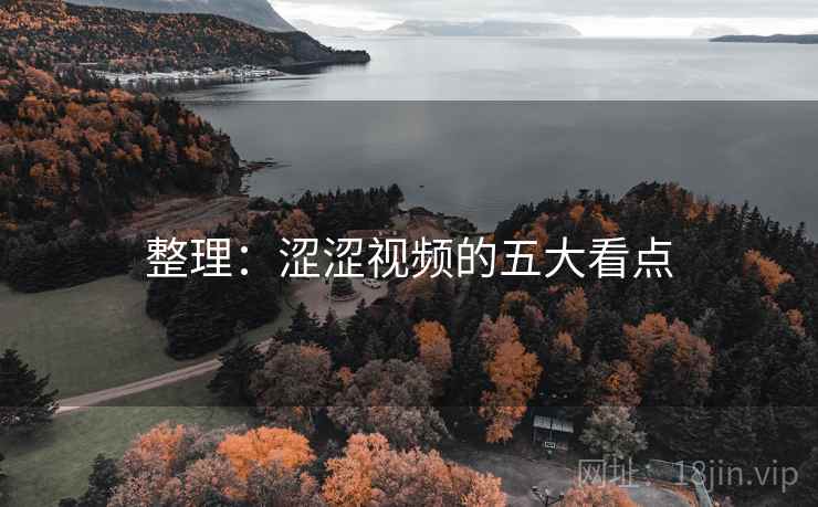 整理：涩涩视频的五大看点