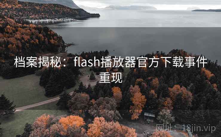 档案揭秘：flash播放器官方下载事件重现